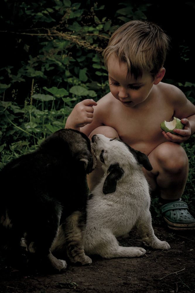 Photograph by Виктория Лаур