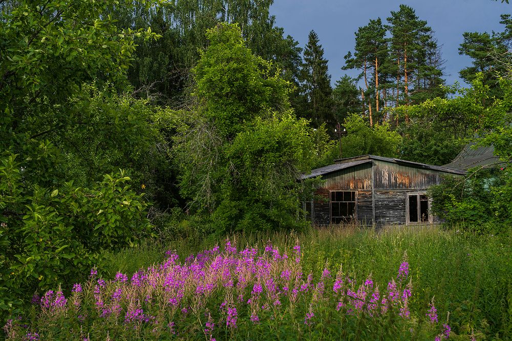 Photograph by Евгений Гонтов