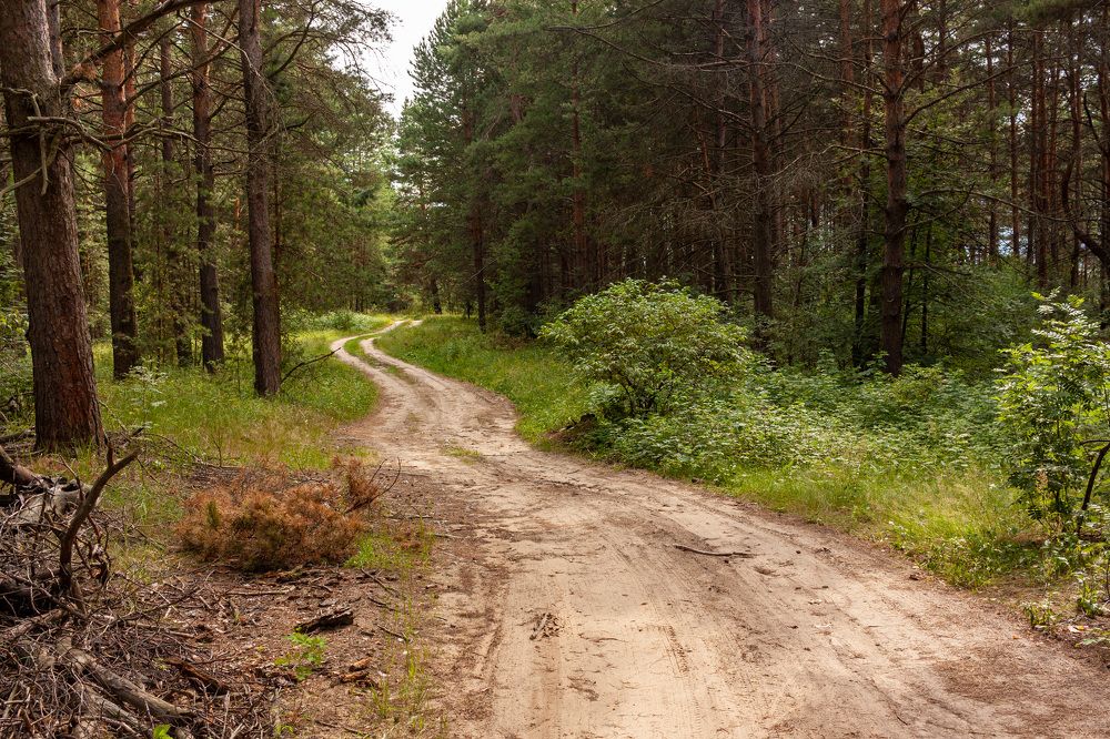 Photograph by Сергей Щербаков