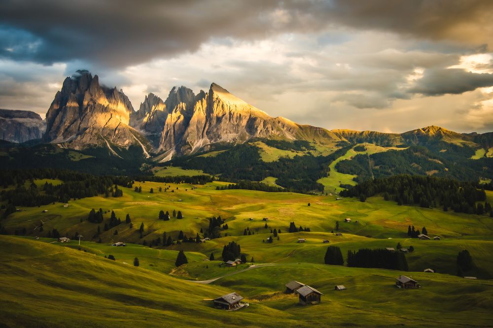 Photograph by Agnieszka Wieczorek