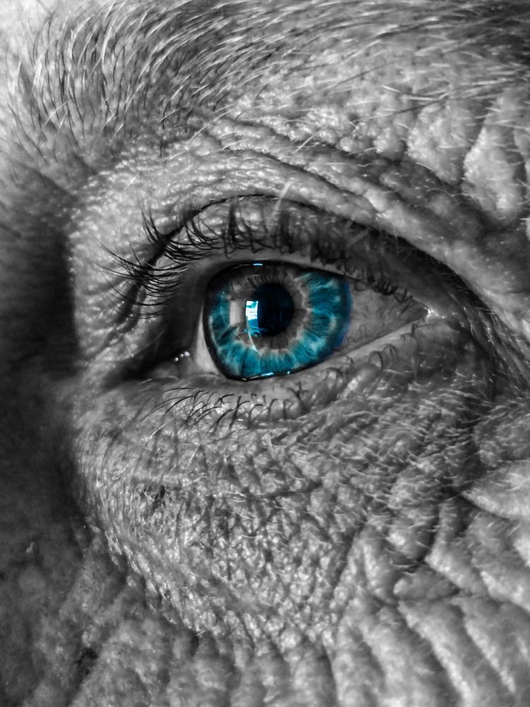 Фотография автора Bernadette Pretorius