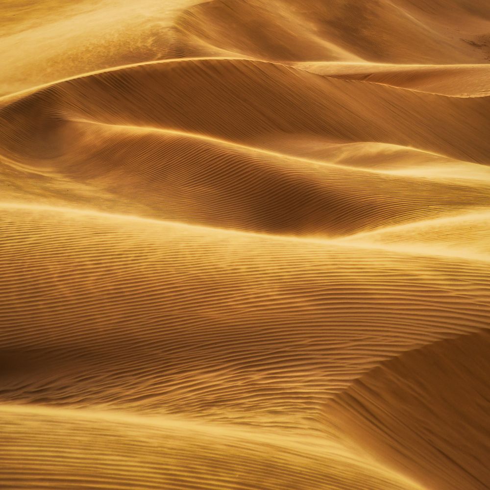 Photograph by Fehd Ghammit