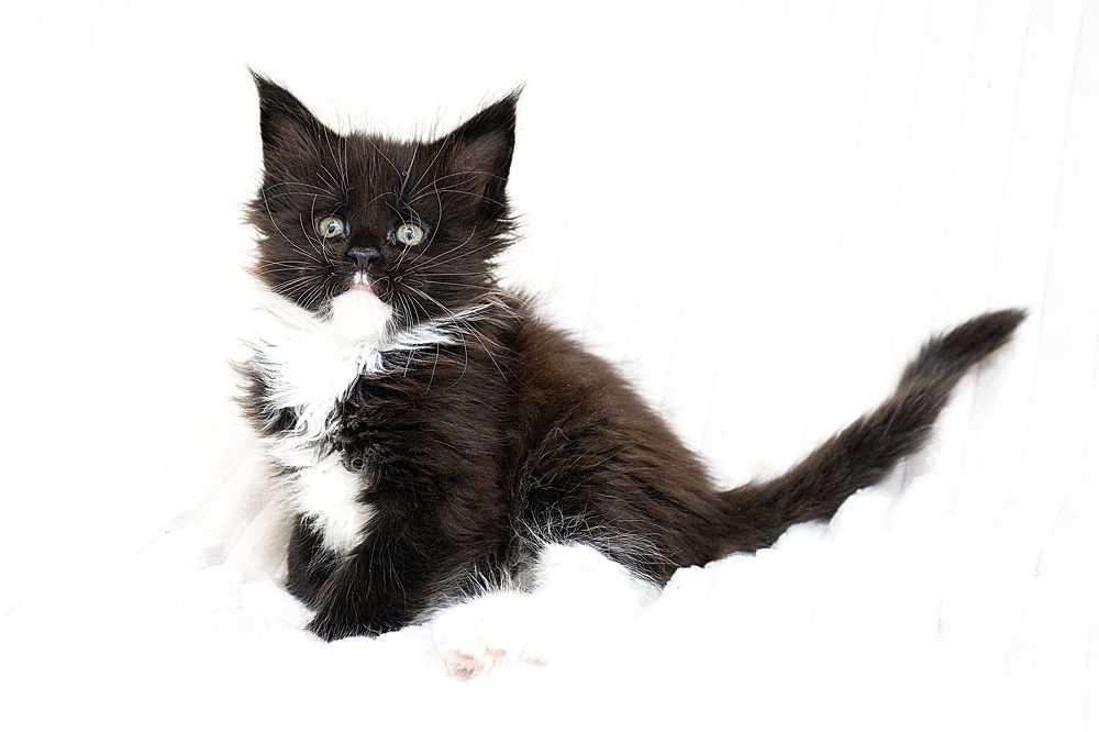 Photograph by Ирина Мамонова