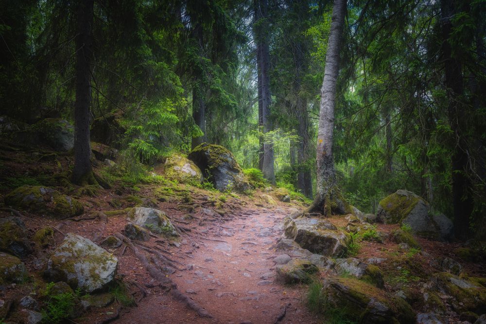 Photograph by Ожерельев Андрей