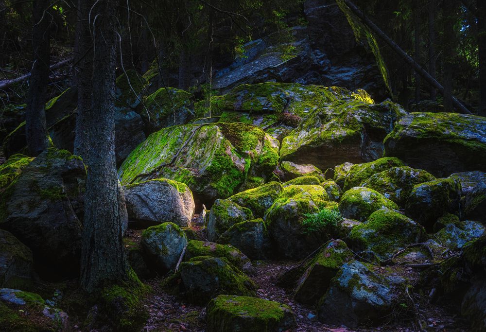 Photograph by Ожерельев Андрей