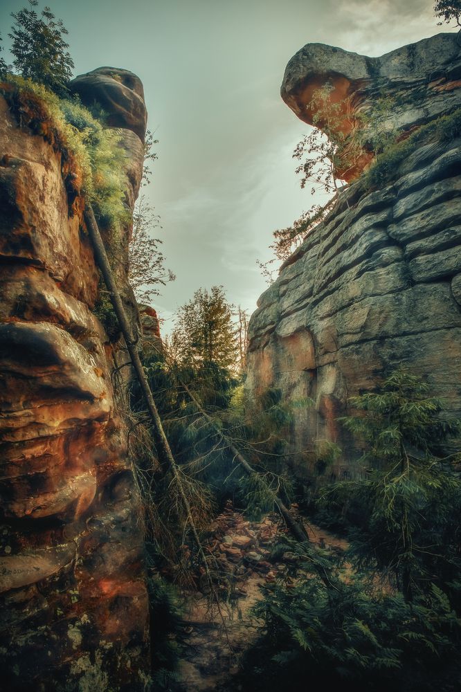 Photograph by Татьяна Николаева