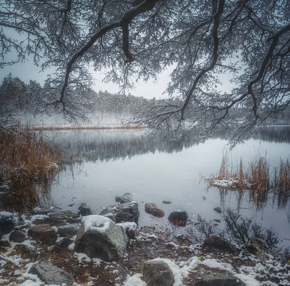 Photograph by Ожерельев Андрей