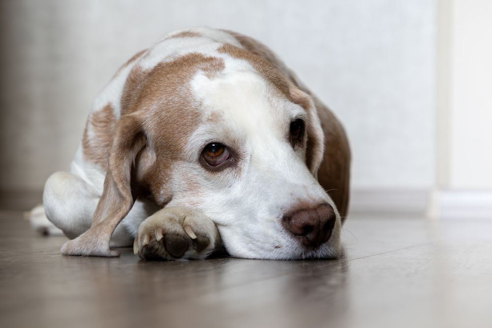 Photograph by Юлия Куликова