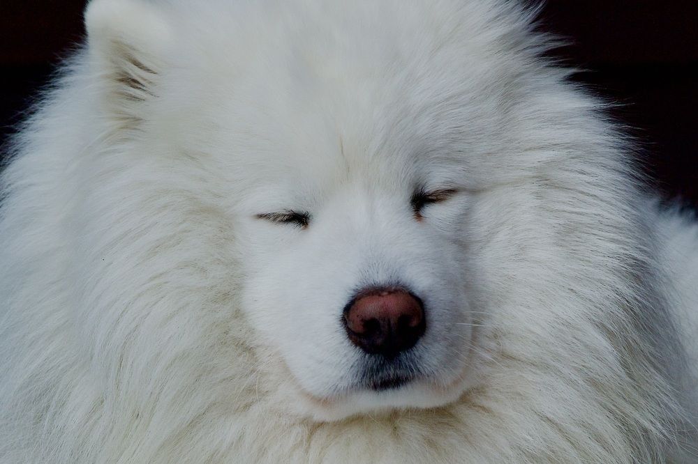 Photograph by karl geisler