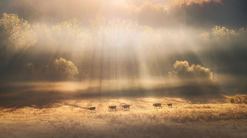 Photograph by Слави Заяков