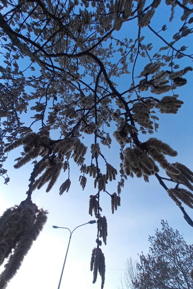 Photograph by Каковкина Ольга