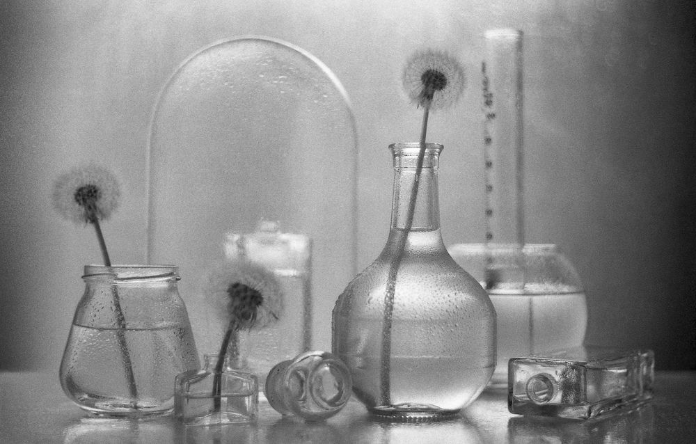 Фотография автора Сизов Кирилл