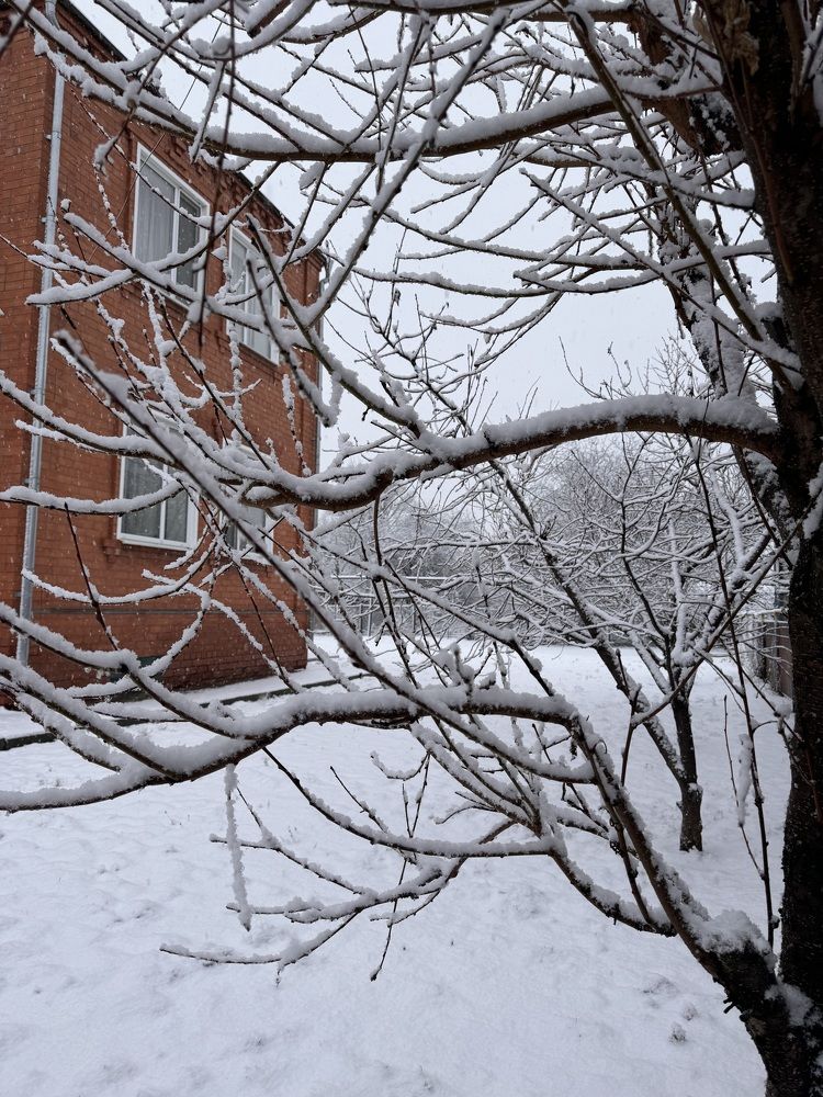 Photograph by IRINA MEDOVAYA