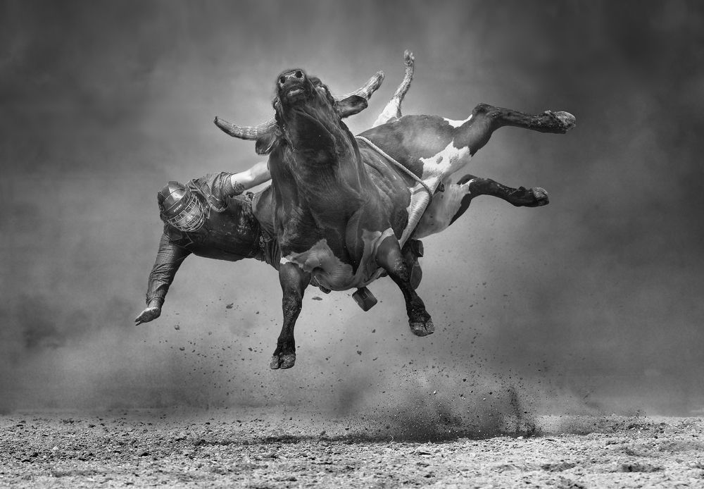 Фотография автора Liyan Dai