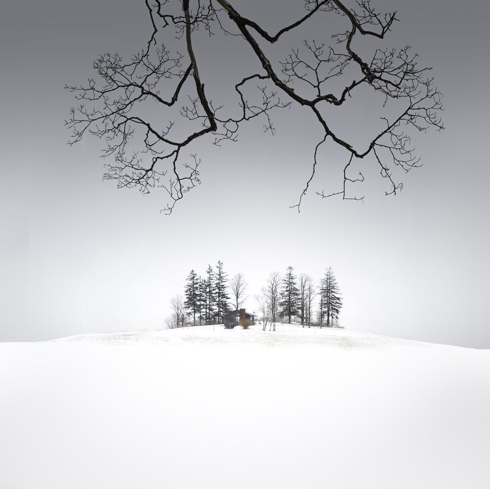 Фотография автора Liyan Dai