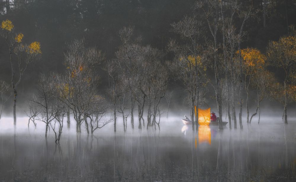 Фотография автора Hồ Đăng Khoa