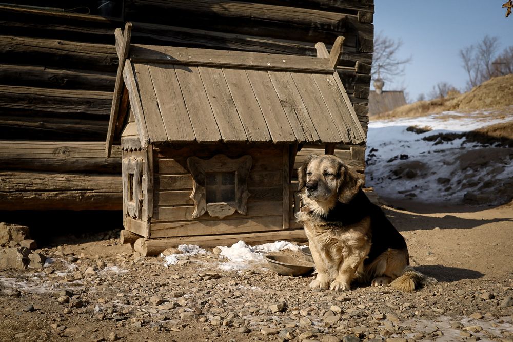 Photograph by Наталья Лобанова