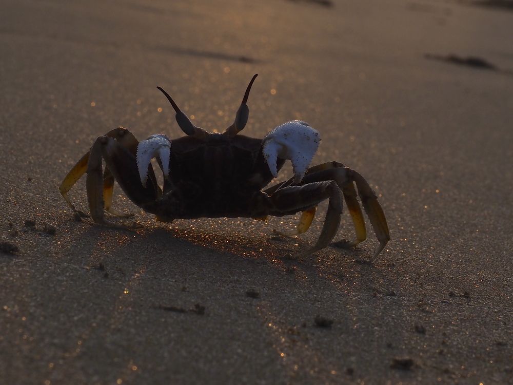 Photograph by Екатерина Шмелева