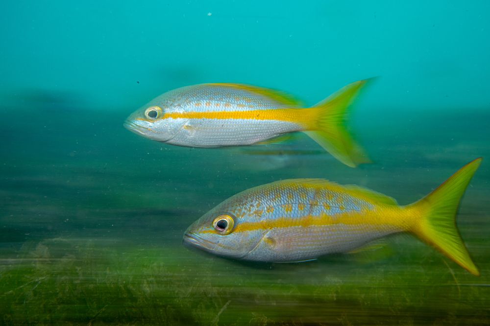 Photograph by Magali Marquez