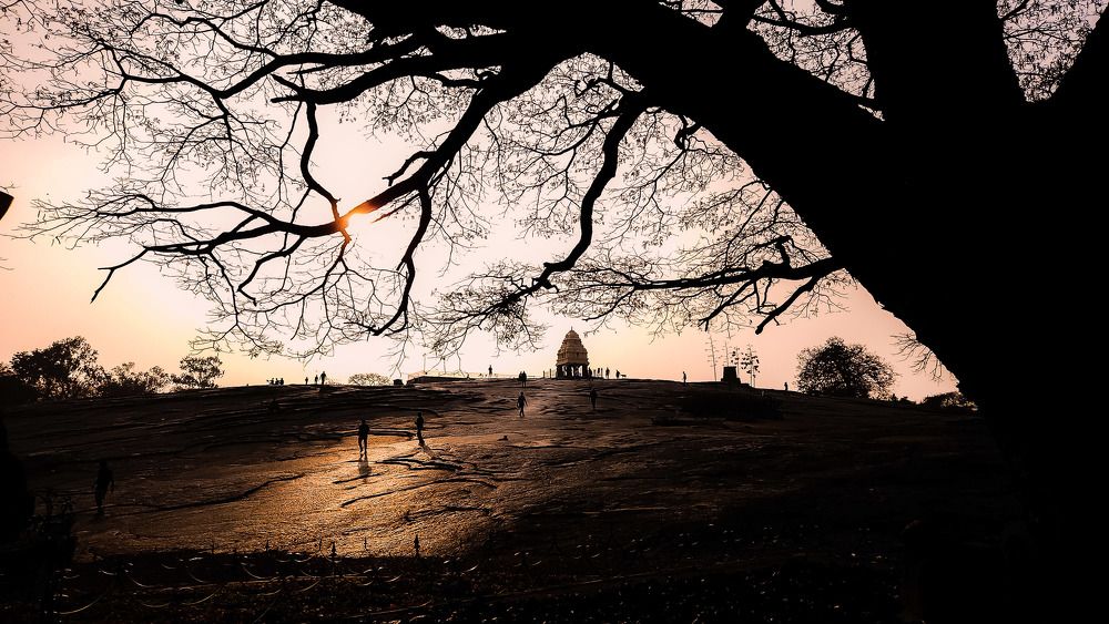 Photograph by Sreenivasa Murthy N S