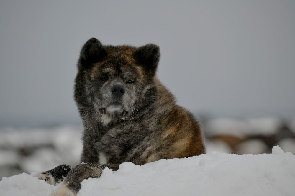 Рей.