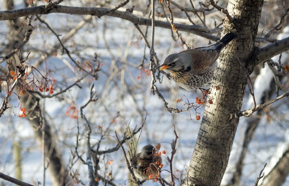 Photograph by Виктор Петров