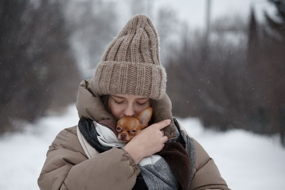 Фотография автора Регина Цыганова