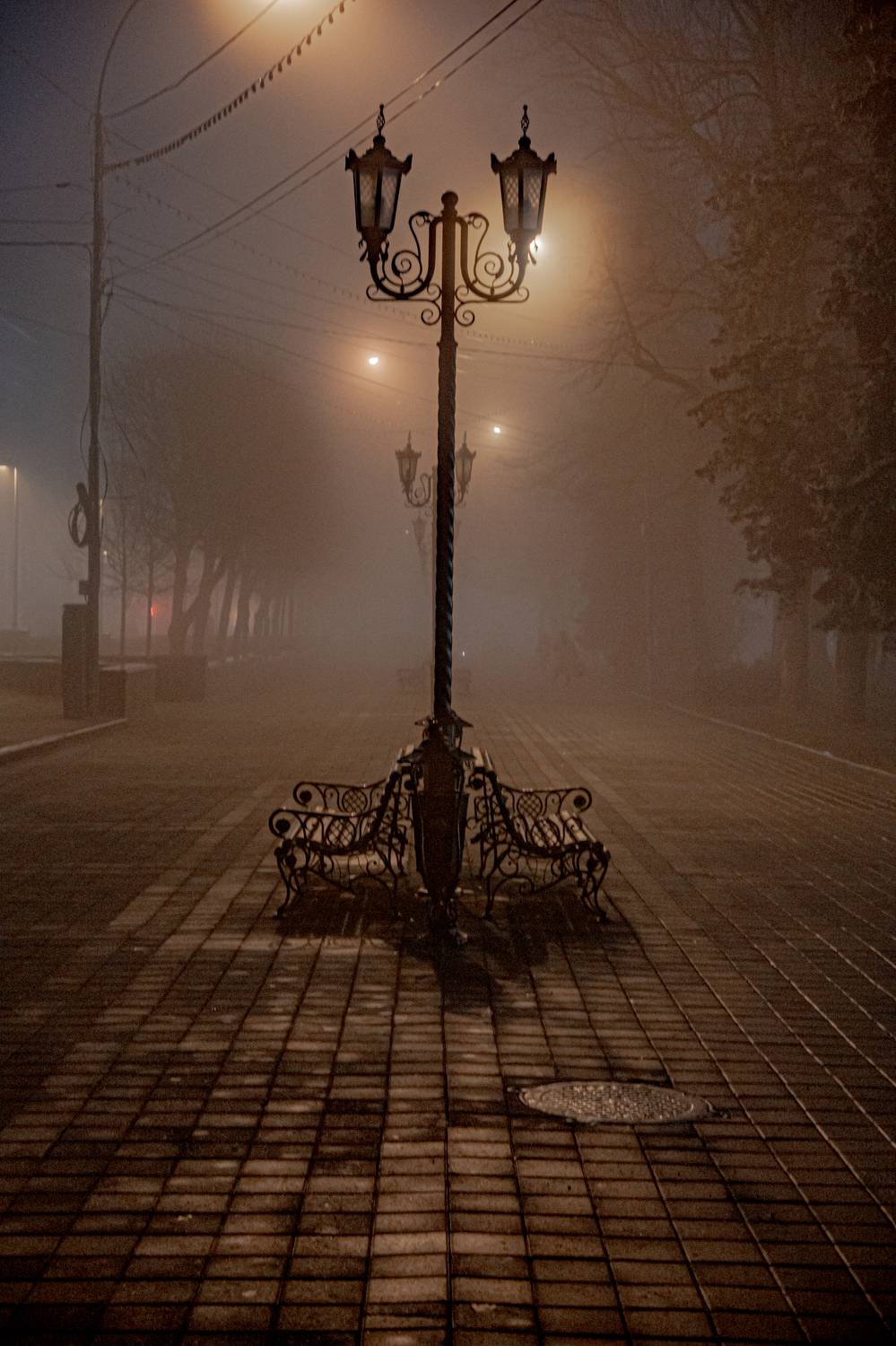 Photo #10238975