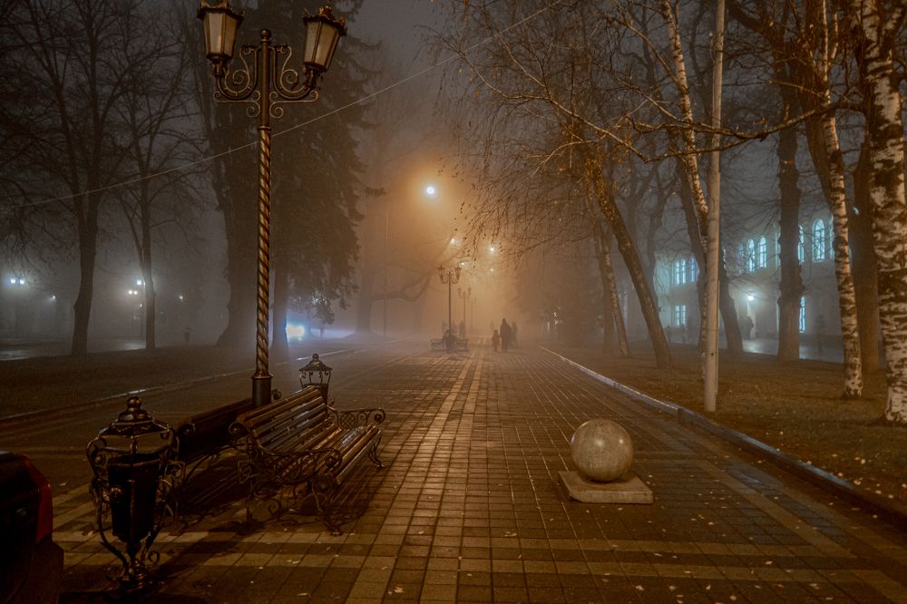 Photograph by 