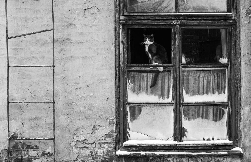 Photograph by Константин Пешков