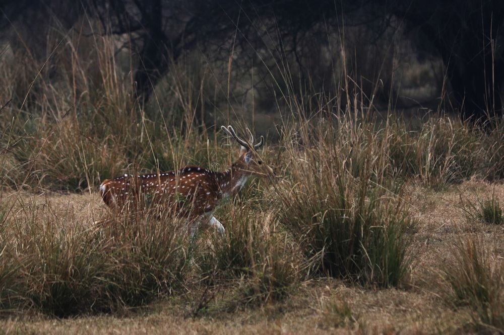 Photograph by Ayushi Singhal