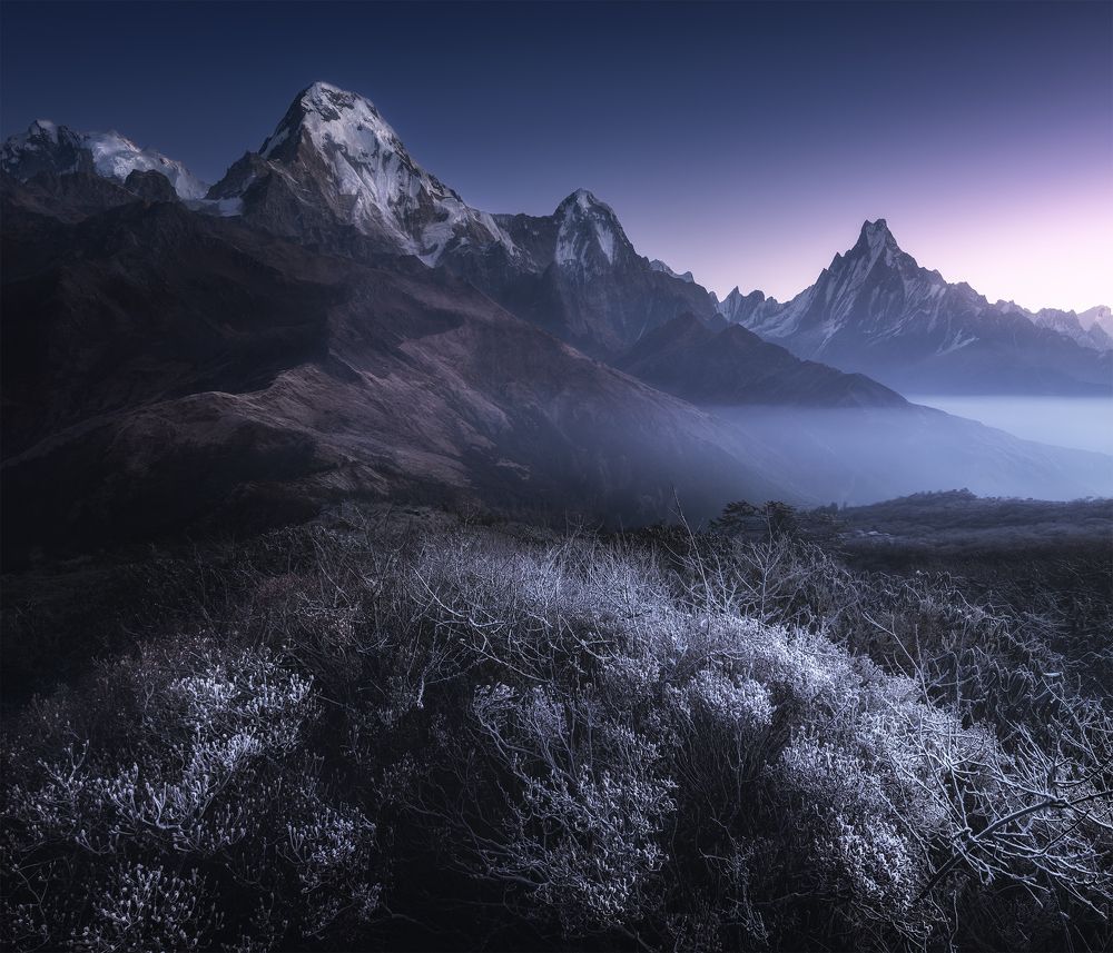 Photograph by Политова Анна