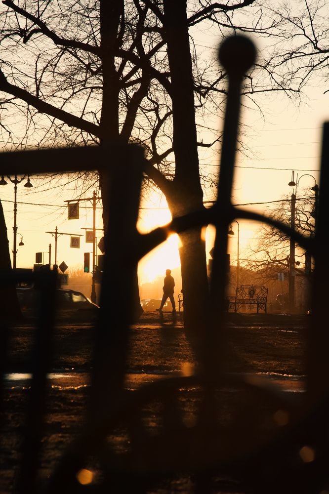 Photograph by Alex Orlov