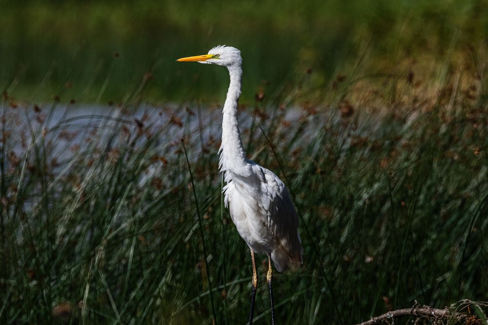 Photograph by Федорако Дмитрий