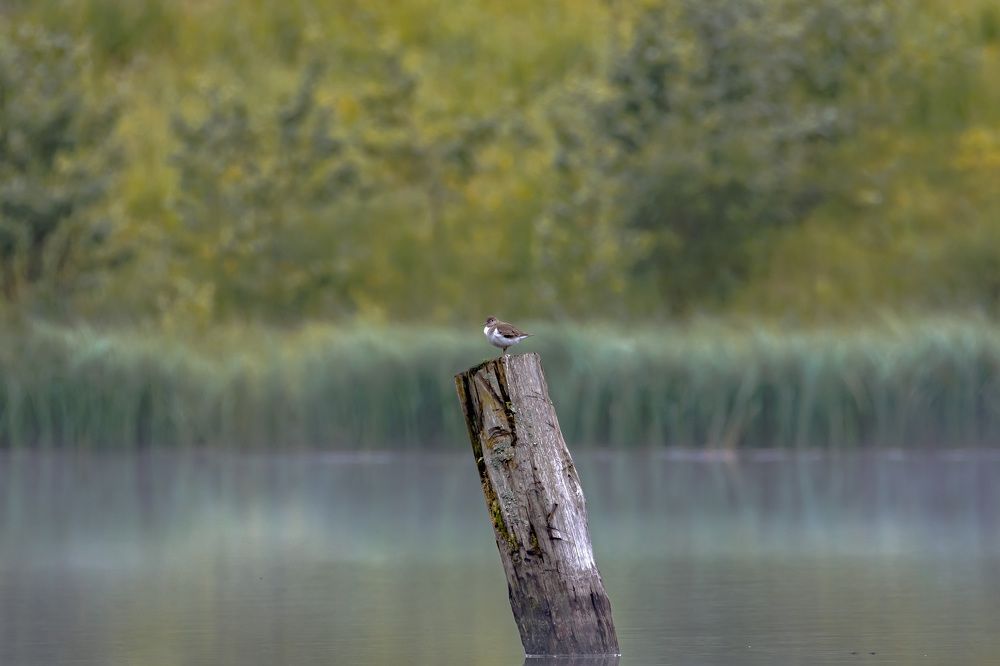 Photograph by Федорако Дмитрий