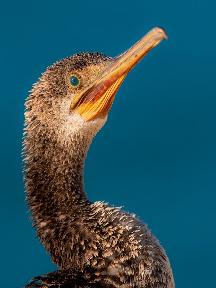 Photograph by Muhammad Hamid