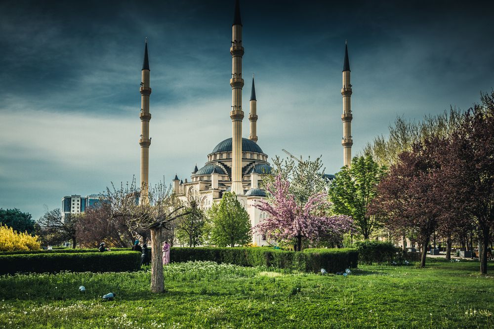 Photograph by Султан Джамалдинов