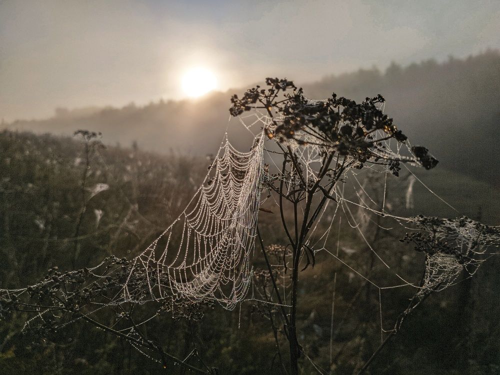 Photograph by Светлана Кондрашова