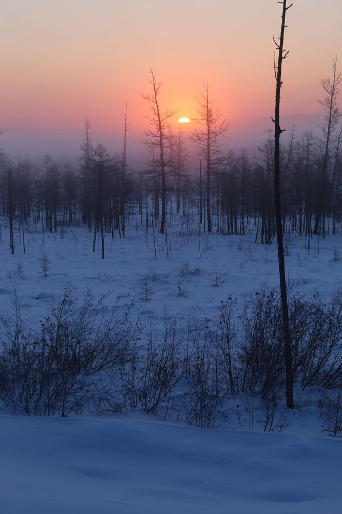 Photograph by Михаил Мархинин