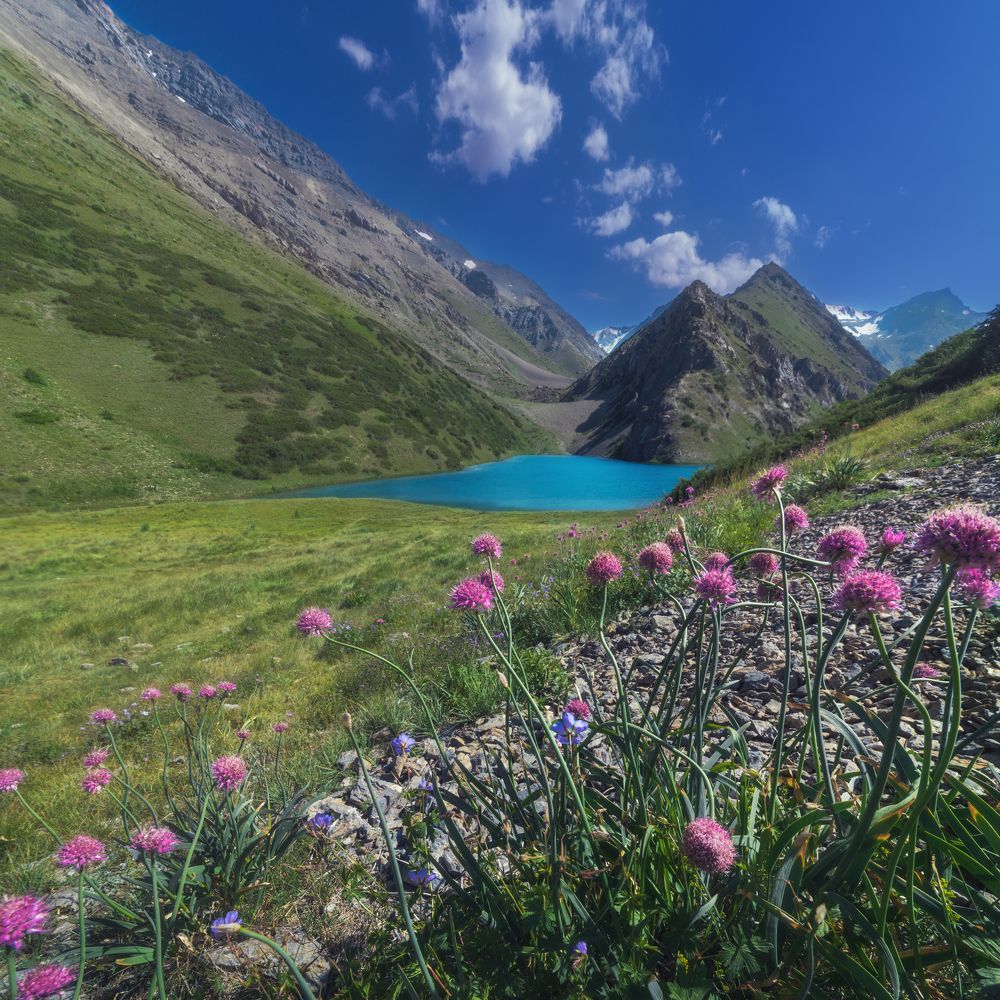 Photograph by Александр Корчагин