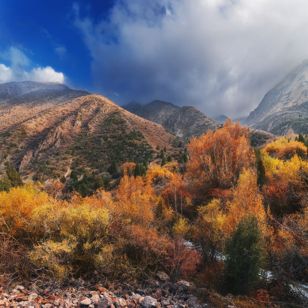 Photograph by Александр Корчагин