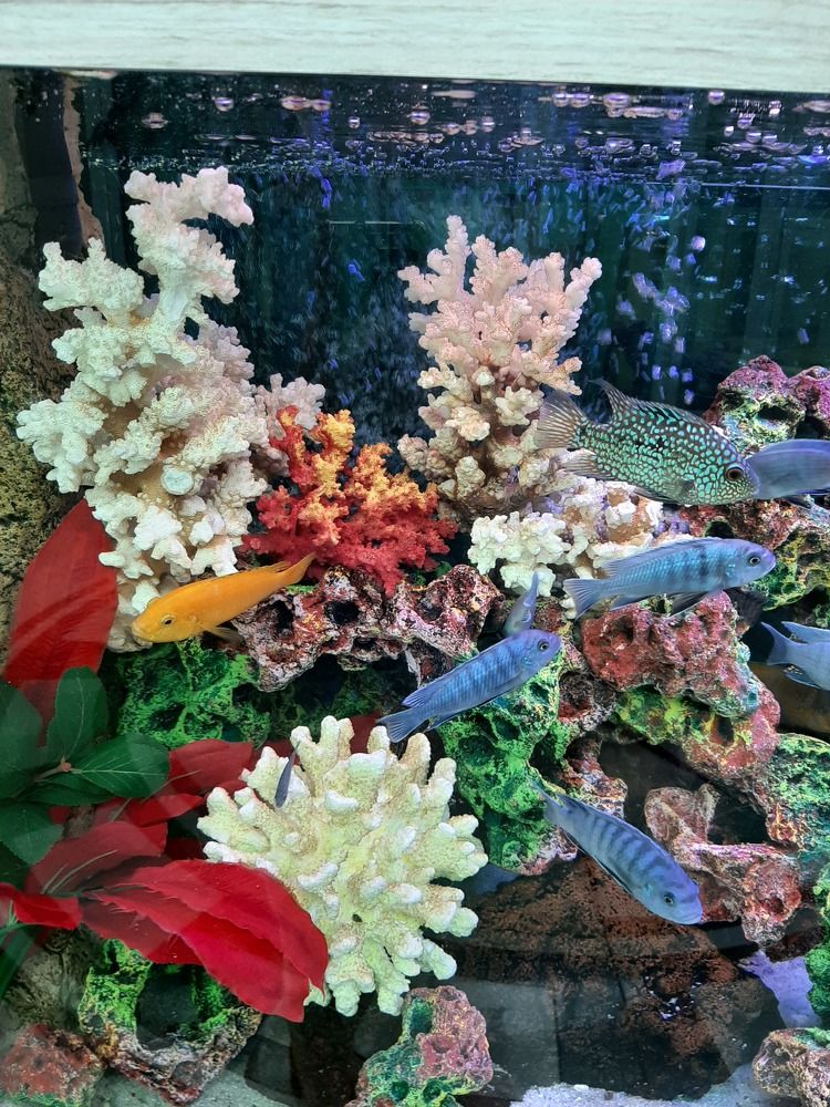 Photograph by Наталия