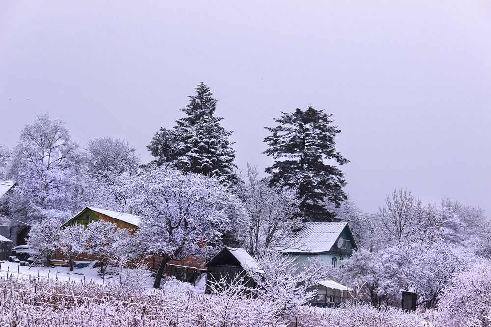 Photograph by Sergey Tsubanov