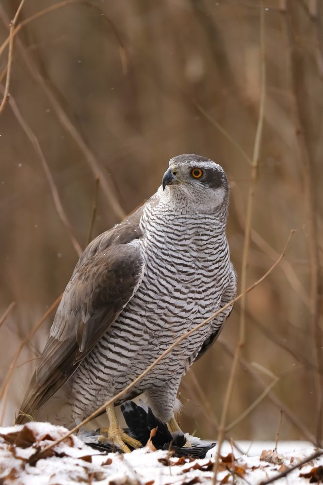 Photograph by Наталья Гайдукевич