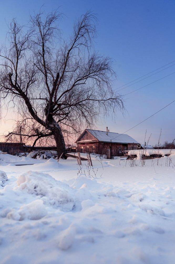 Photograph by Светлана Пузикова