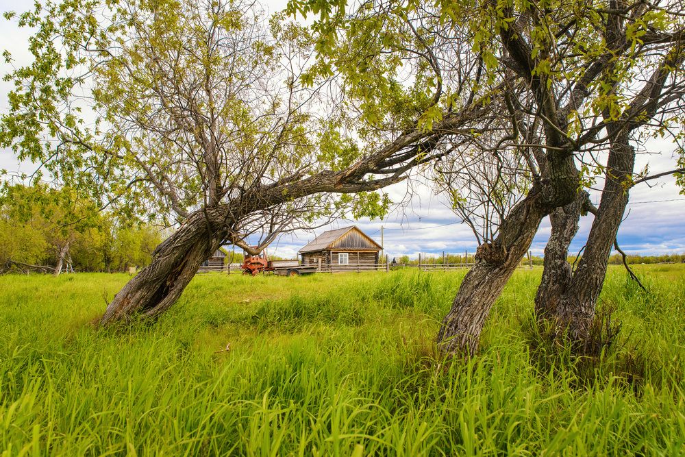 Photograph by Евгений Жуланов