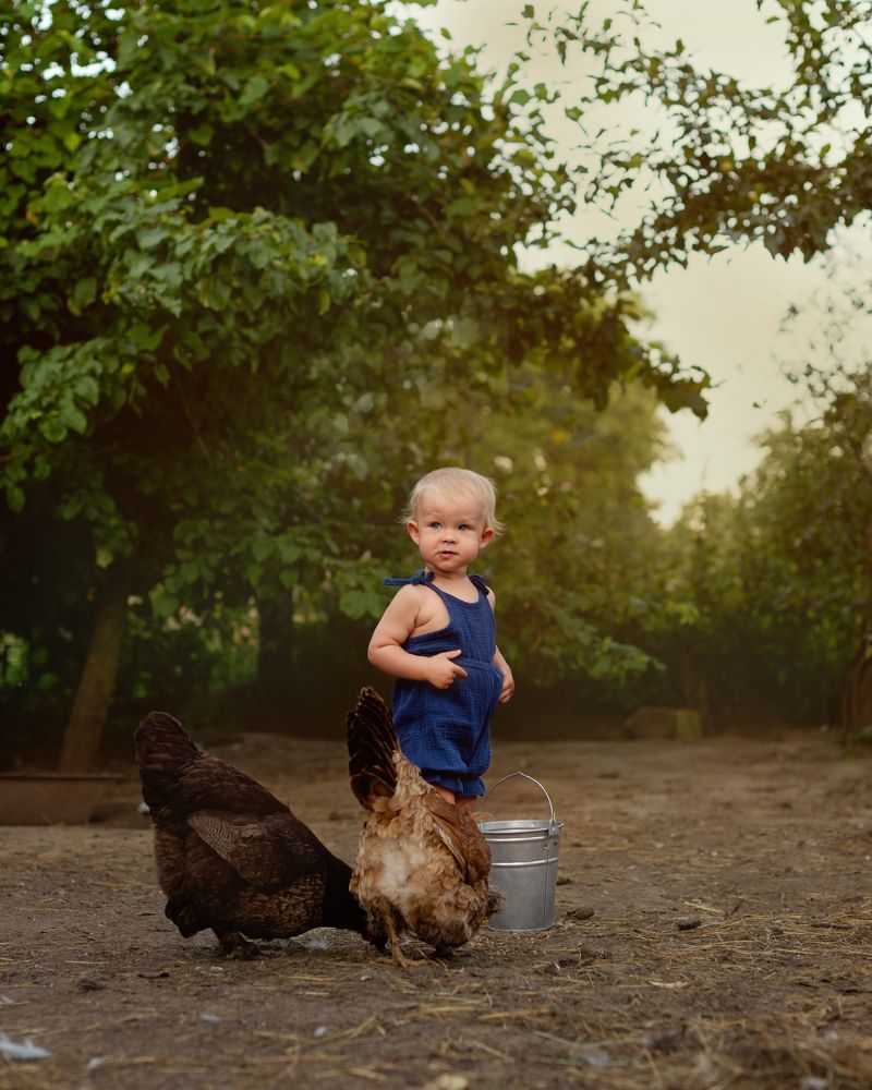 Photograph by Дарья Гомза