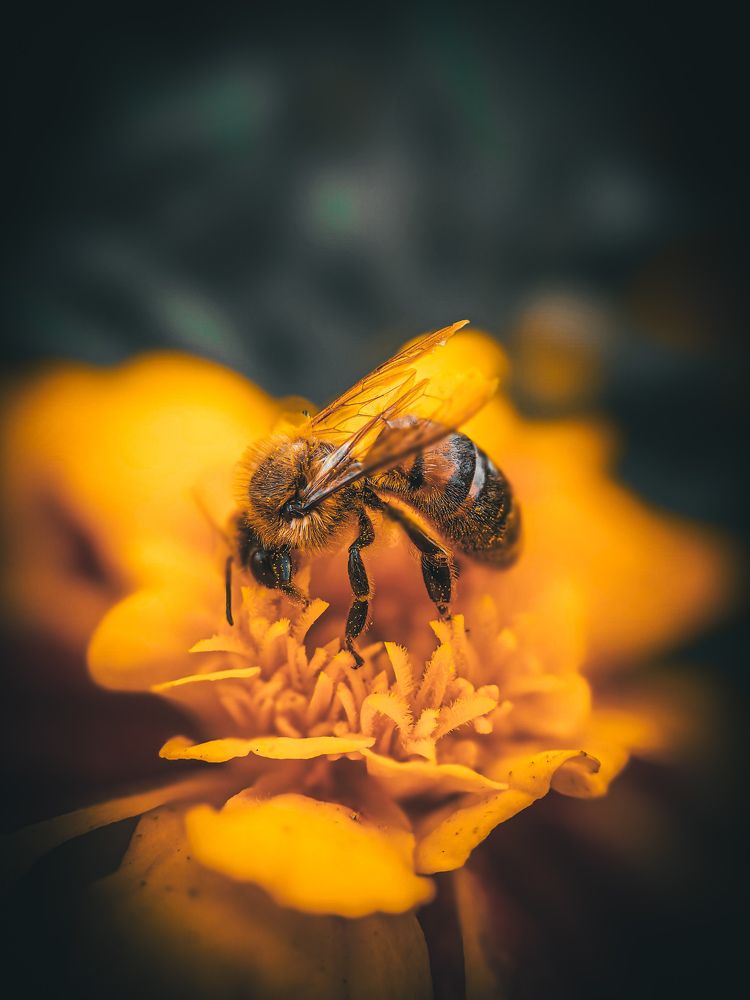 Photograph by Наташа Черепенина