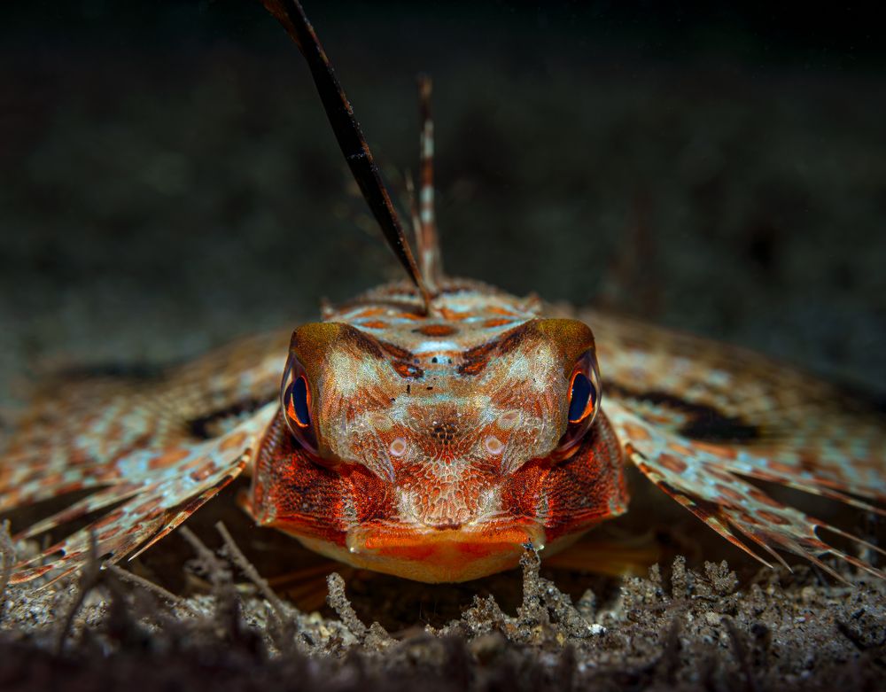 Photograph by Савин Андрей