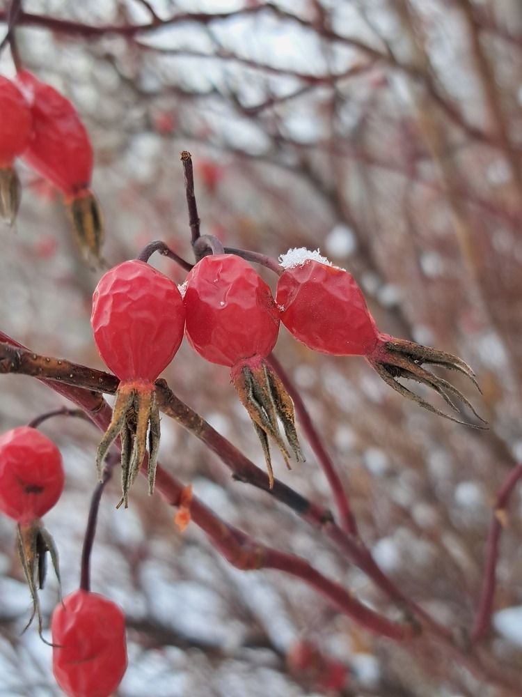 Photograph by Валентина Нохрина